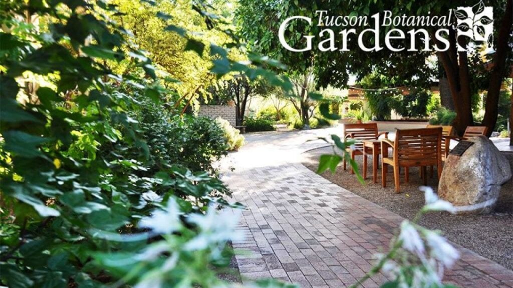 Tucson Botanical Garden greenery and path