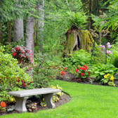 Garden with stone bench