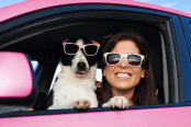 dog and person with sunglasses